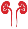 American Kidney Institute